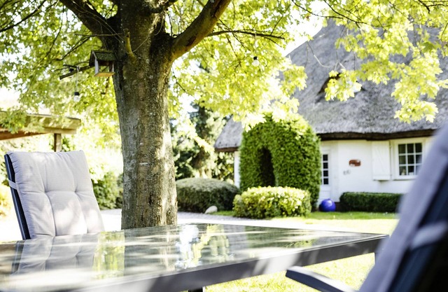 Détaché 5 étoiles maison de campagne au toit de chaume * espace de vie de 200m² *