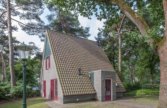 Detached bungalow with steam shower near the Vrachelse Heide