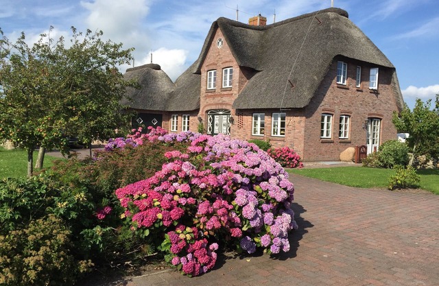 Detached thatched house in a quiet location close to the beach