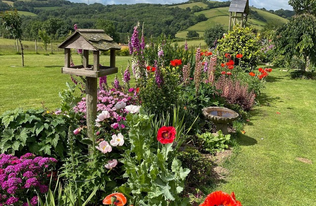 Devon rural country B&B Suite of rooms with guest lounge and bathroom.