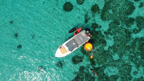 Dimaniyat Islands Camping