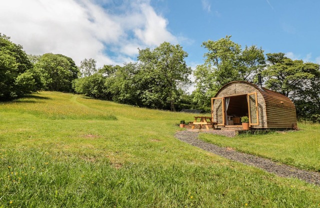 DINGLE DEN, Animaux acceptés à Craswall, Herefordshire, Réf 986635
