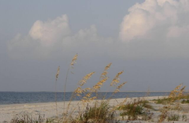 Direct Beach Front, Beach / Ocean View, 2 piscines, élégant, confortable et relaxant