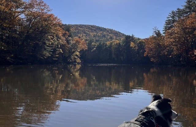 DIRECTLY ON THE SACO RIVER. 5500' of Frontage