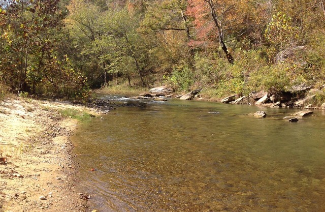 WATERFRONT CABIN Magnifique PineyCreek-Fish, Jouer, Nature, Firepit, WiFi-kids luv it