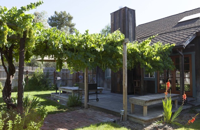 Élégance rustique à Los Olivos