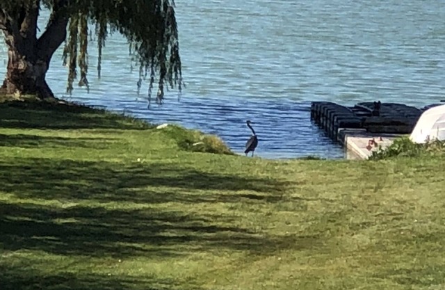 Discover Moses Lake steps away