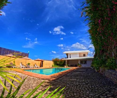 Divers Lodge Plumeria
