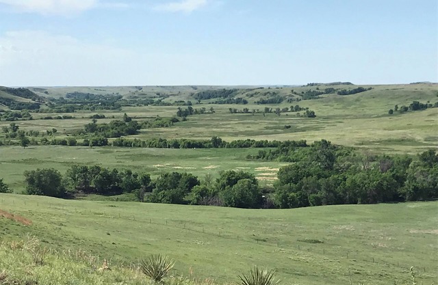 Pheasant hunts 1200 per man. Prarie dog hints 400 per man. 4 night 3 day hunt