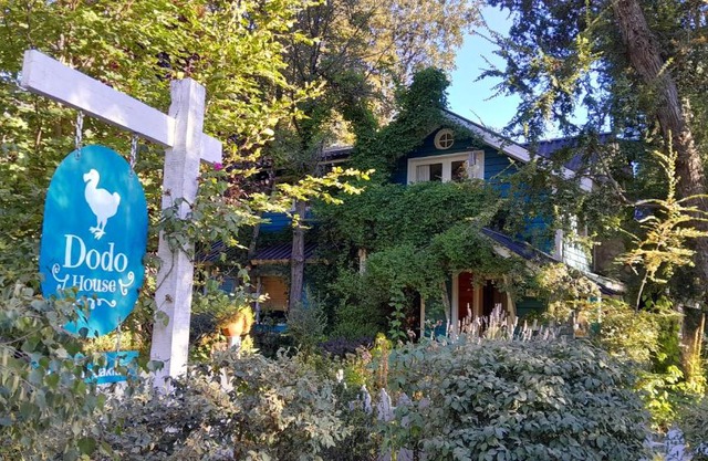 Dodo House
