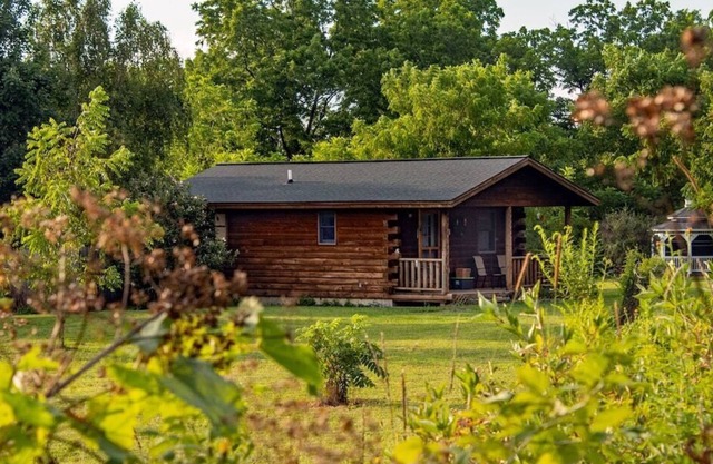 Cabane isolée dans la région viticole - Glamping pour animaux de compagnie, avec petit-déjeuner inclus!