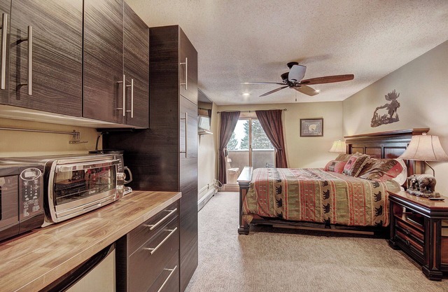 Dog Friendly Hotel Room With Perfect Location! Ski in/out. CM417H