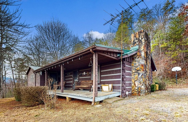 Dog-friendly, mountain view cabin w/ WiFi, and private W/D