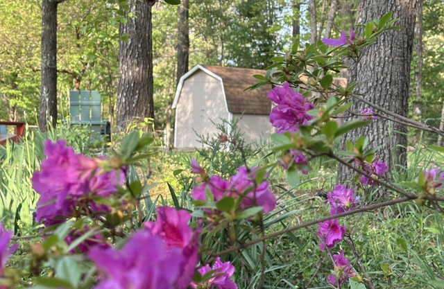 Dog Friendly with Trail Access to Bike Trails, Lakes, Waterfalls, MTB & Golf