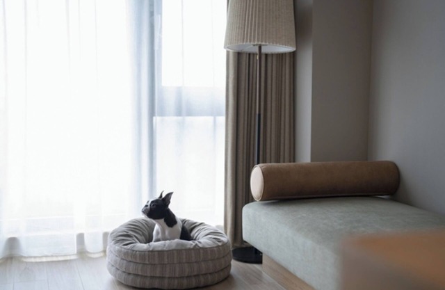 Dog room with ocean view Breakfast included to b / Ashigarashimo-gun Kanagawa