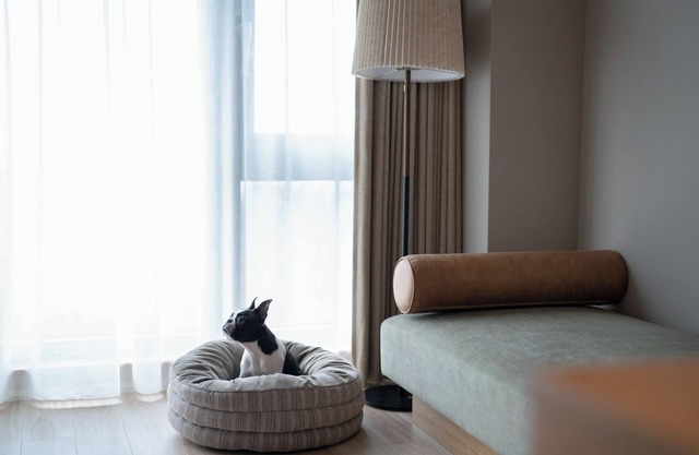Dog room with ocean view Dinner and breakfast fe / Ashigarashimo-gun Kanagawa
