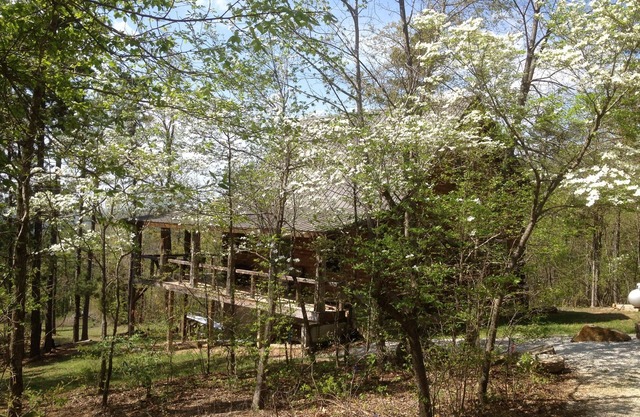 Dogwood Cabin of Deer Lodge Location de chalets Isolés Ozark Mointain Log Cabin