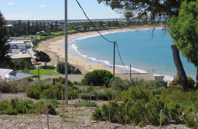 DOLPHIN 10 sur la baie Horseshoe, Port Elliot