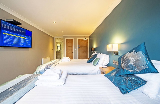 Dolphin Rooms