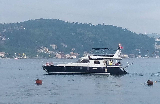 DOLPHIN YACHT