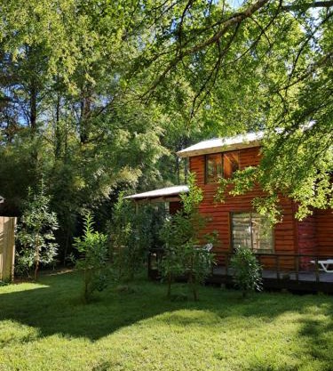 Domos Conguillío - Cabaña en el bosque