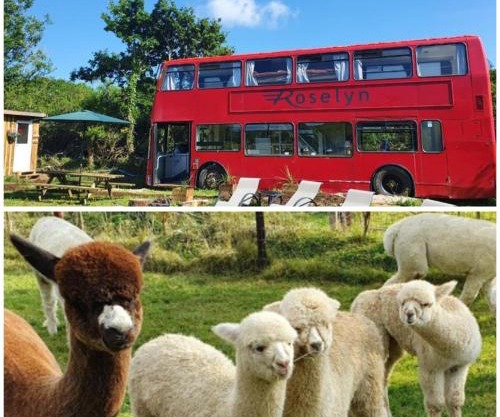 Double Decker Bus on an Alpaca farm sleeps 8, 5 mins drive to Dartmoor