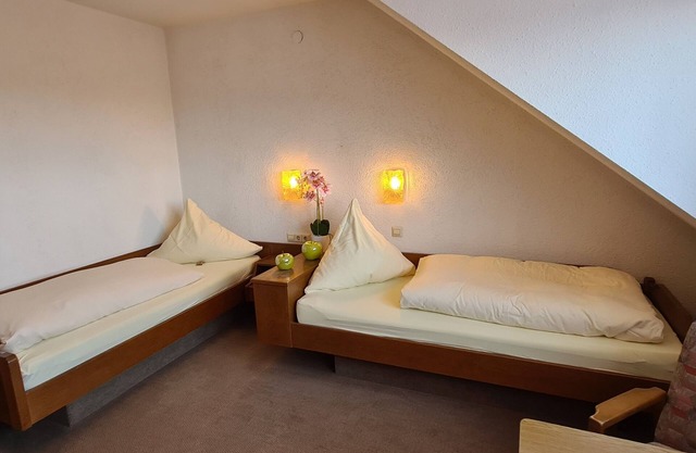 Double room mountain view with 2 single beds - Pension Hauber