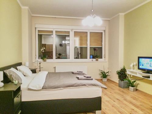 Dove Budapest | Apartment