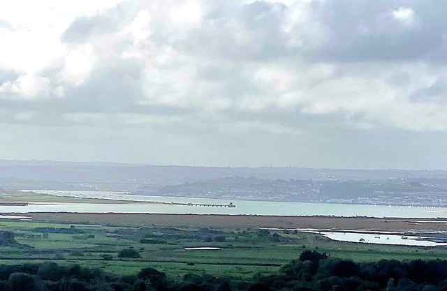 Cottage bas - vue sur la mer (bain à remous inclus dans le prix)