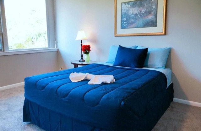 Downtown Apartment conveniently located to all!