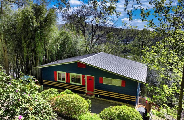 Downtown Asheville - Zurich Swiss Mountain Chalet