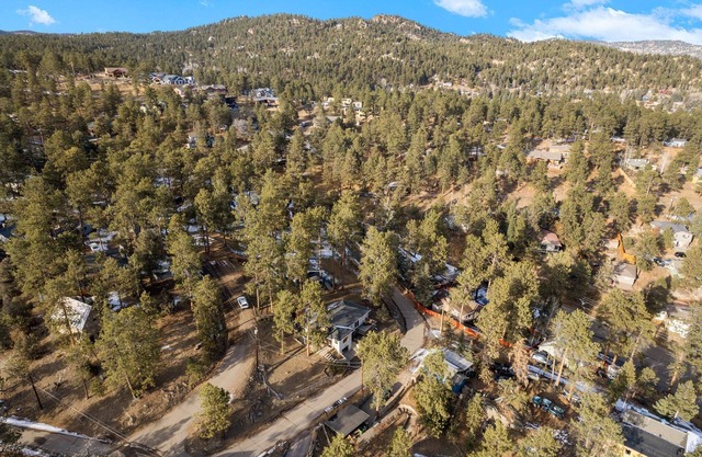 Downtown Evergreen & 10miles to Red Rocks Amphitheatre equipped for long stays
