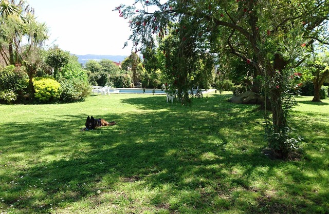 Maison de campagne de rêve avec jardin