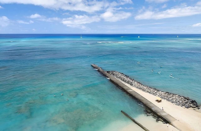 Dream Vacation on Waikiki! 3 Spacious Units for 12, Restaurant, Bring Your Pet!