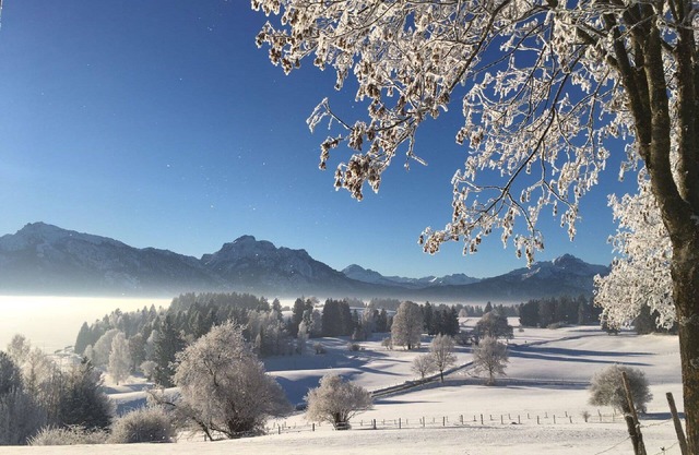 Vacances fantastiques dans l'Allgäu - détente entre montagnes, châteaux et lacs.