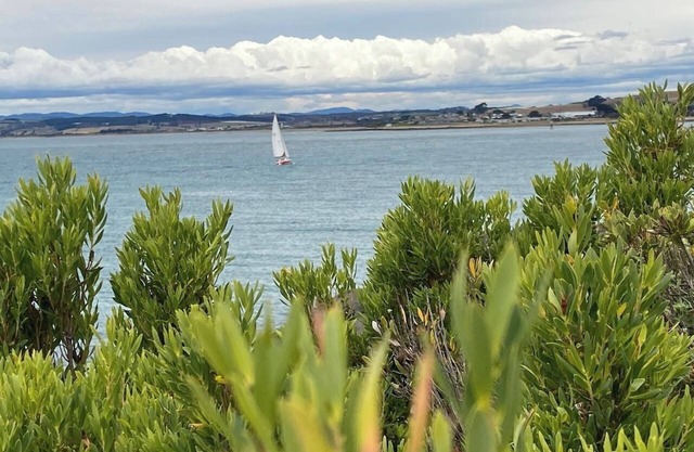 Driftaway@ Devonport