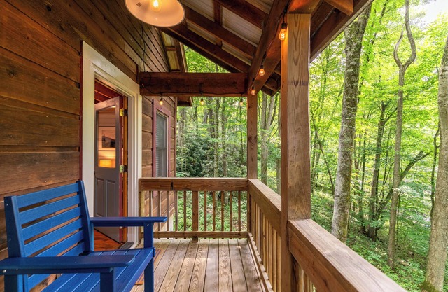 Due West - Charming Boone Cabin In the Woods!