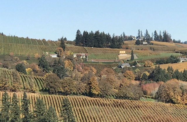 3 Master Suites! Expérience exquise de la région viticole de l'Oregon