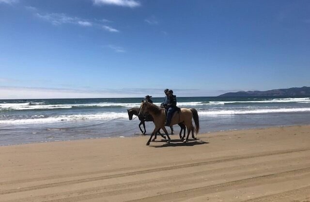 Dune Surfer Inn