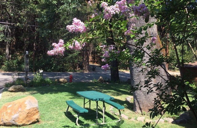 Dunsmuir Lodge