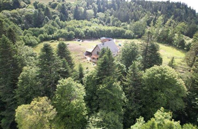 DUPLEX CONFORT 3 * 1 CH EN MEZZANINE- TERRASSE - DANS DOMAINE - LE MONT DORE