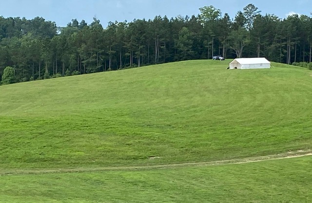 Eads Bluff Overlook Campground