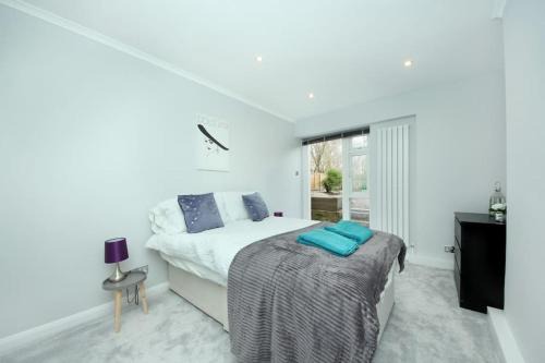 Ealing Garden Flat