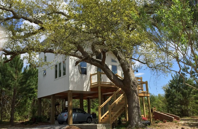 ECO-Beach House dans les arbres