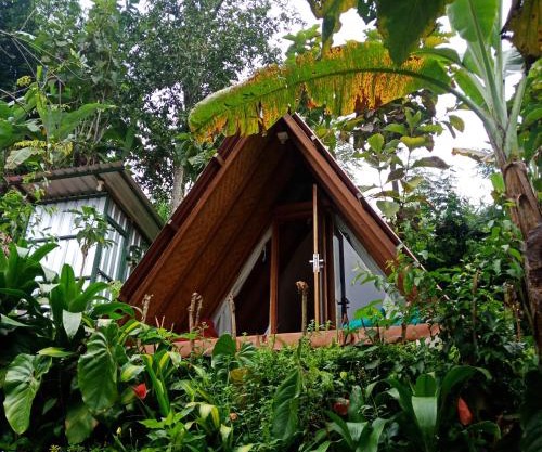 ECO Bedugul adventurer camp