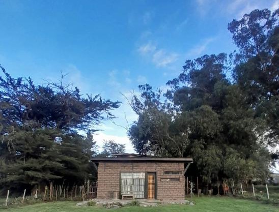 Eco Casita