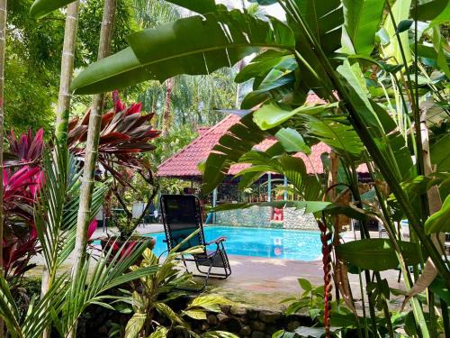 Eco Zaru, Experience Authentic Costa Rican Jungle & Ocean Bliss