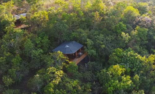 Ecolodge La Corocora