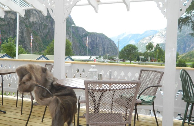 Eidfjord Hytter
