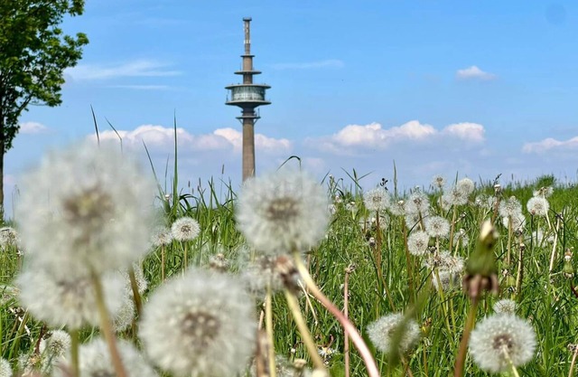 Eifelauszeit - Auszeit ist Eifelzeit / bis zu 8 Personen + Kind + Vierbeiner